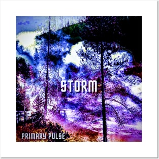 Storm Posters and Art